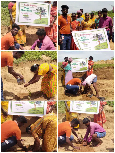 Tree Plantation 2024 – Tamil Nadu