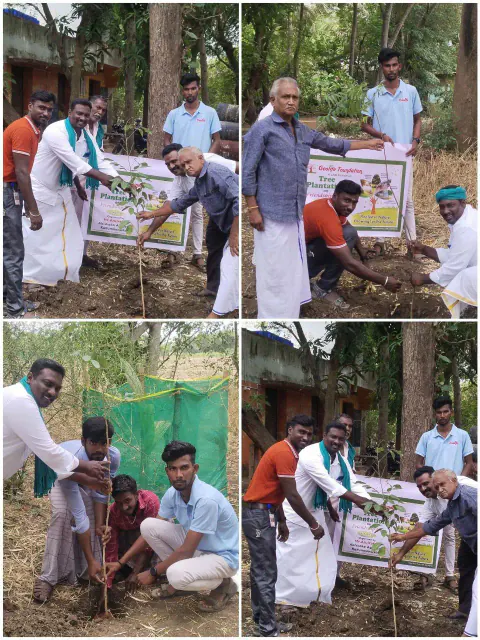 Tree Plantation 2024 – Tamil Nadu