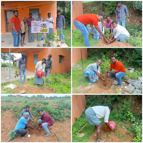Tree Plantation 2024 – Tamil Nadu