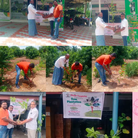 Tree Plantation 2024 – Tamil Nadu