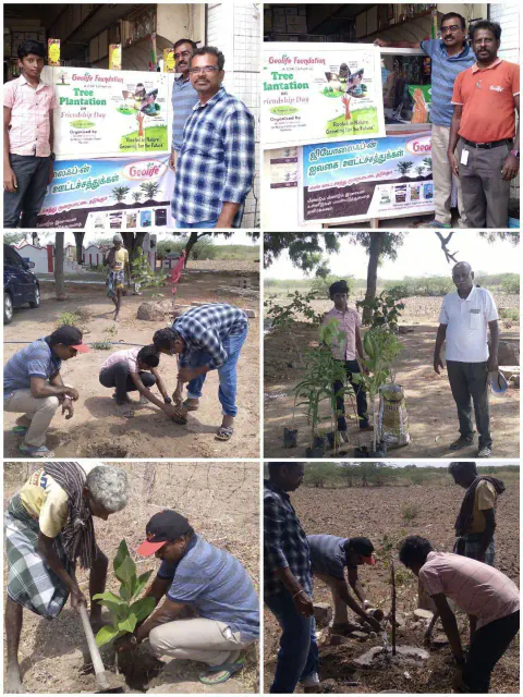 Tree Plantation 2024 – Tamil Nadu