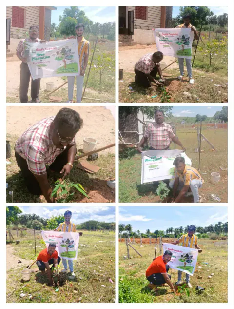 Tree Plantation 2024 – Tamil Nadu