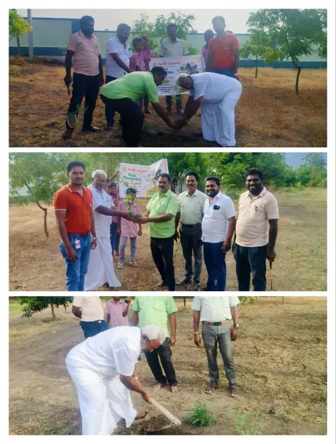 Tree Plantation 2024 – Tamil Nadu