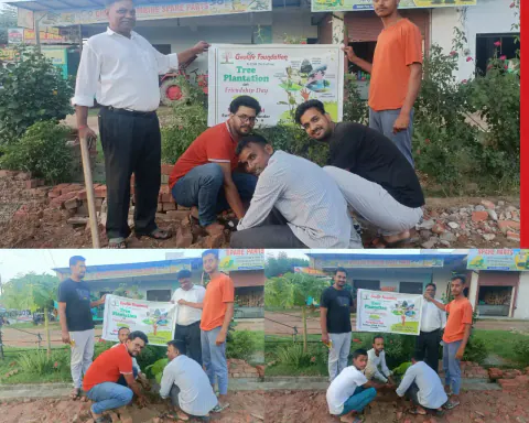 Tree Plantation 2024 – Uttar Pradesh