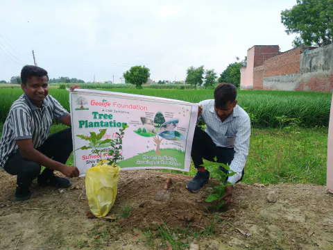 Tree Plantation 2024 – Uttar Pradesh