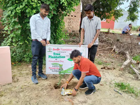 Tree Plantation 2024 – Uttar Pradesh