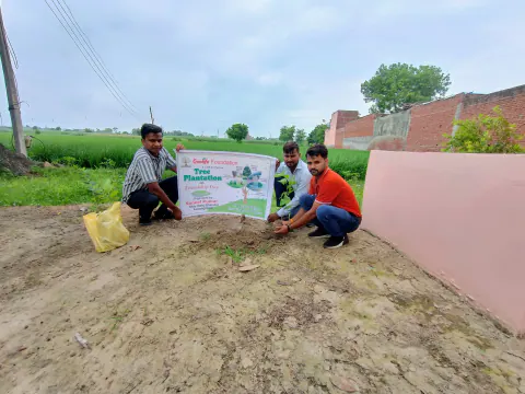 Tree Plantation 2024 – Uttar Pradesh