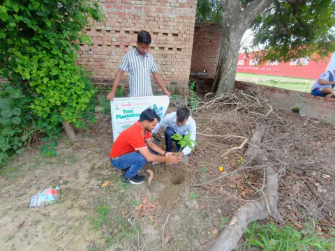 Tree Plantation 2024 – Uttar Pradesh