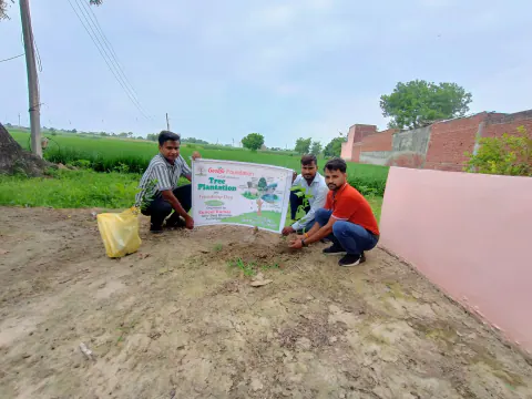 Tree Plantation 2024 – Uttar Pradesh
