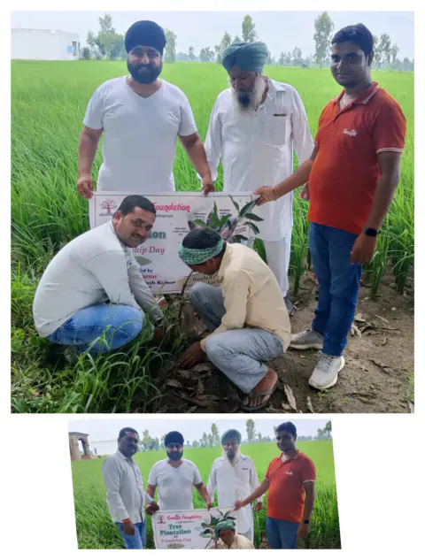 Tree Plantation 2024 – Uttar Pradesh