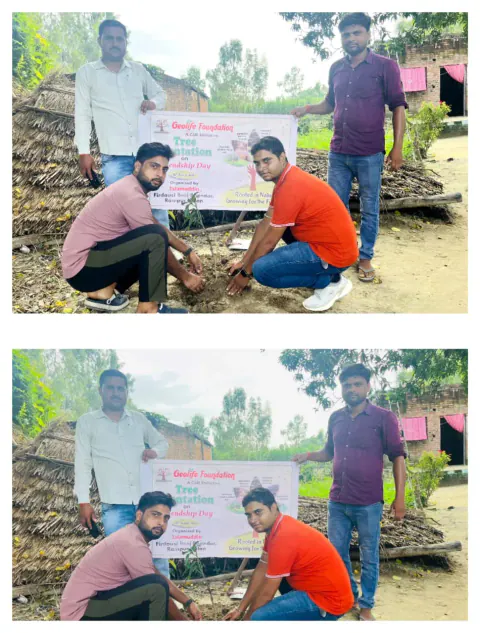 Tree Plantation 2024 – Uttar Pradesh