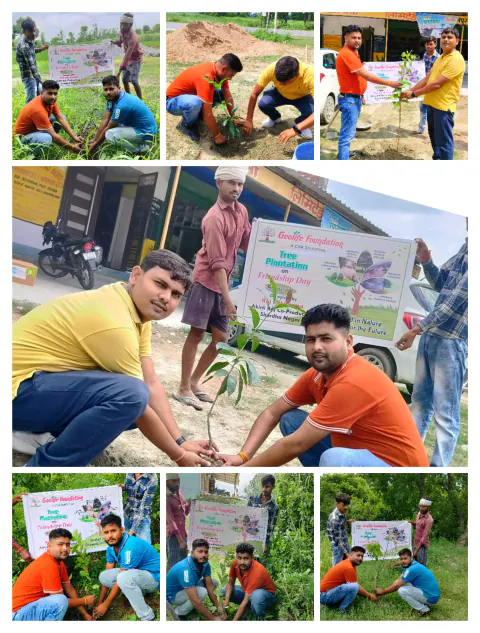Tree Plantation 2024 – Uttar Pradesh