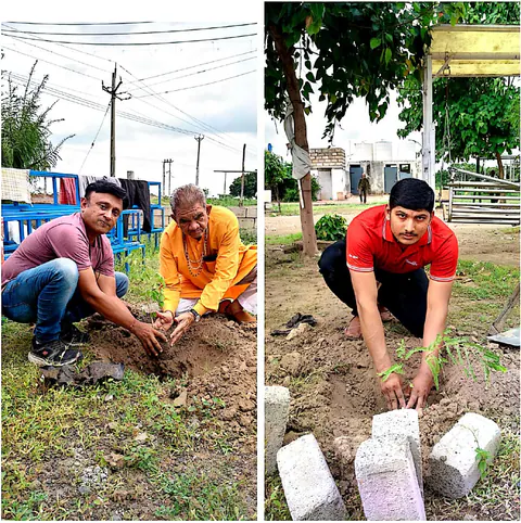 Tree Plantation 2025 – Gujarat