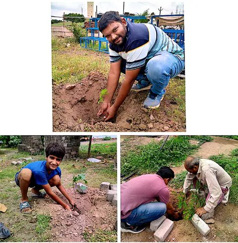 Tree Plantation 2025 – Gujarat