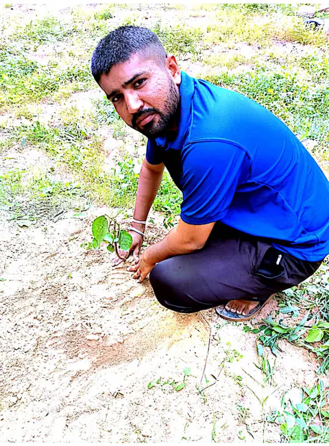 Tree Plantation 2025 – Gujarat