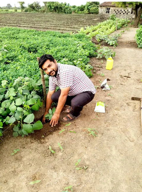 Tree Plantation 2025 – Gujarat