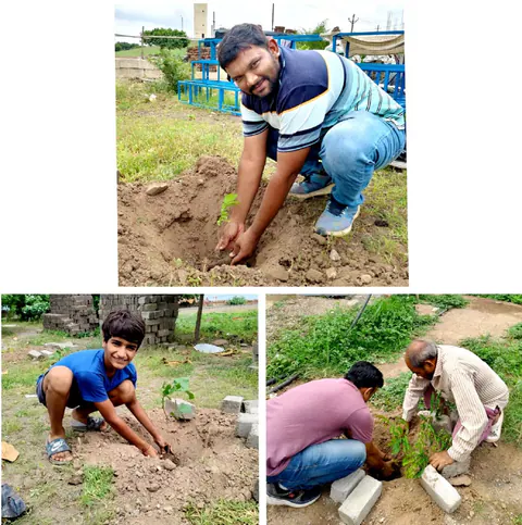 Tree Plantation 2025 – Gujarat