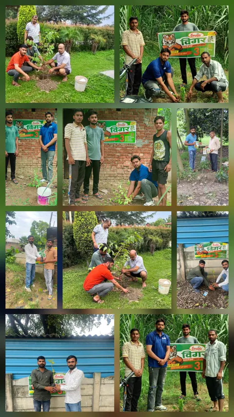 Tree Plantation 2025 – Haryana