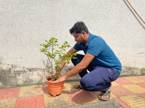 Tree Plantation 2025 – Head Office