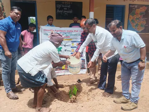 Tree Plantation 2025 – Karnataka