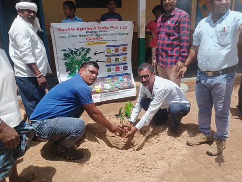 Tree Plantation 2025 – Karnataka