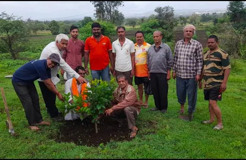 Tree Plantation 2025 – Karnataka