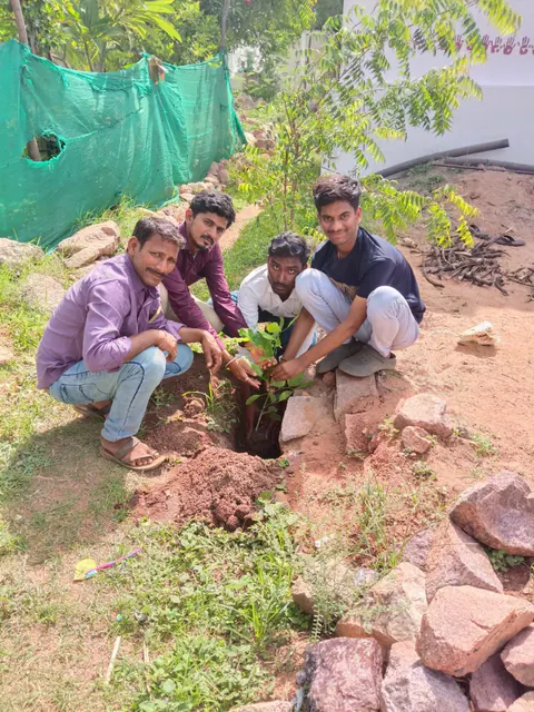 Tree Plantation 2025 – Karnataka