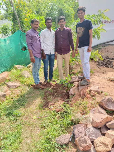 Tree Plantation 2025 – Karnataka