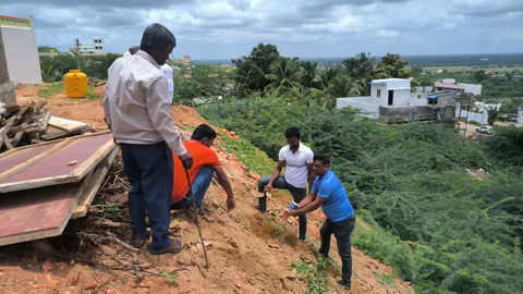 Tree Plantation 2025 – Karnataka