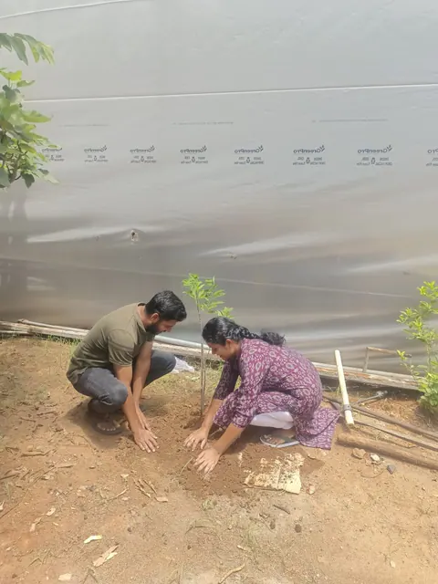 Tree Plantation 2025 – Karnataka