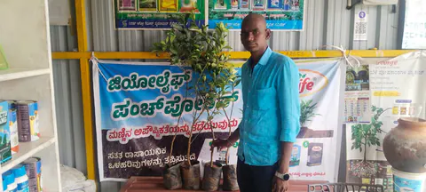 Tree Plantation 2025 – Karnataka