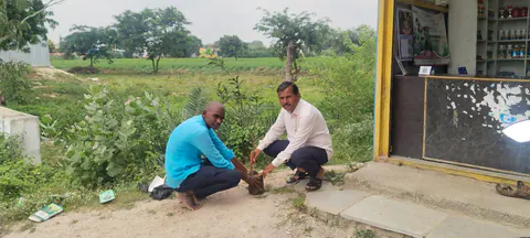 Tree Plantation 2025 – Karnataka