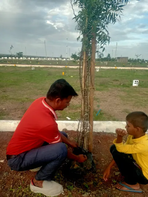 Tree Plantation 2025 – Karnataka