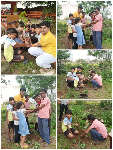 Tree Plantation 2025 – Madhya Pradesh
