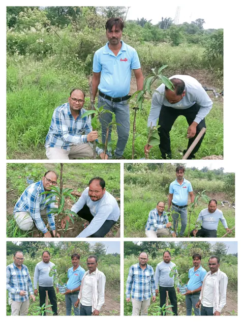 Tree Plantation 2025 – Madhya Pradesh