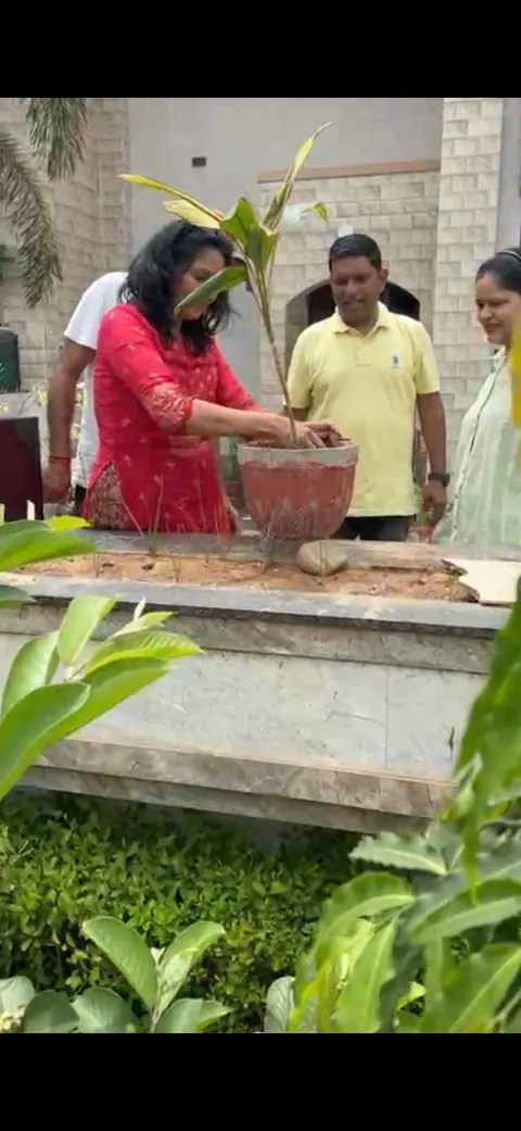 Tree Plantation 2025 – Madhya Pradesh
