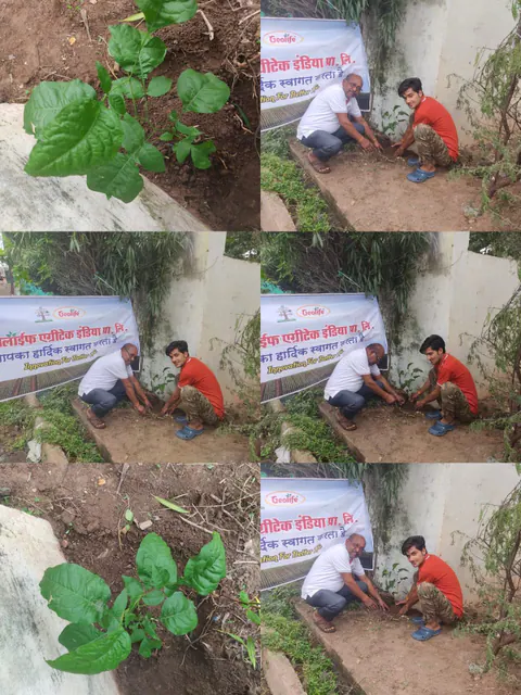 Tree Plantation 2025 – Madhya Pradesh