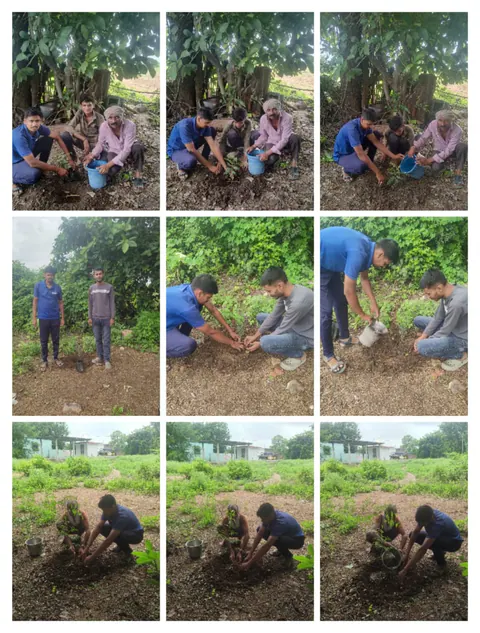 Tree Plantation 2025 – Maharashtra