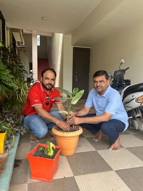 Tree Plantation 2025 – Maharashtra