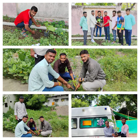 Tree Plantation 2025 – Maharashtra