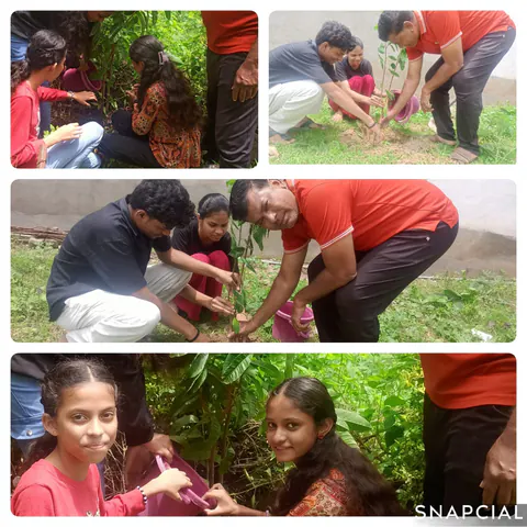 Tree Plantation 2025 – Maharashtra
