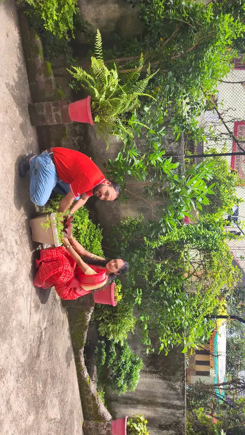 Tree Plantation 2025 – Maharashtra
