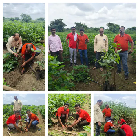 Tree Plantation 2025 – Maharashtra