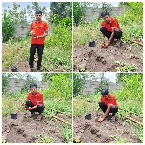 Tree Plantation 2025 – Maharashtra