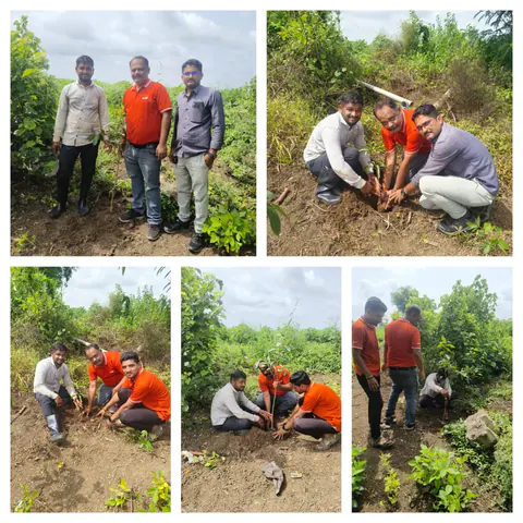 Tree Plantation 2025 – Maharashtra