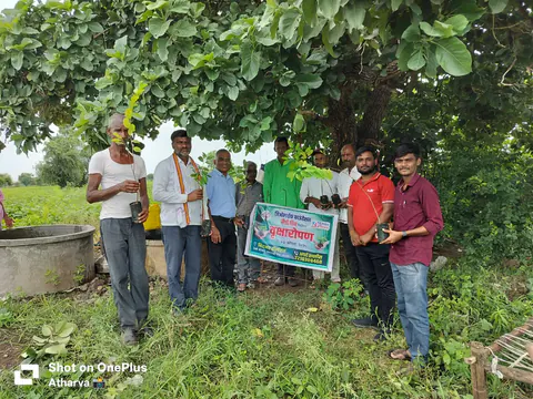 Tree Plantation 2025 – Maharashtra