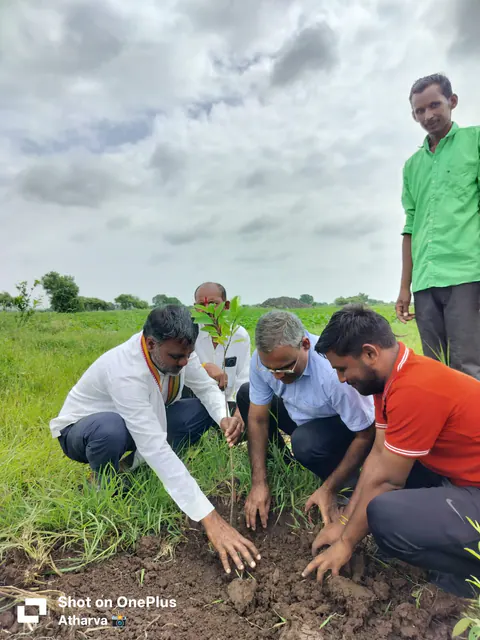 Tree Plantation 2025 – Maharashtra