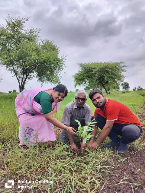 Tree Plantation 2025 – Maharashtra