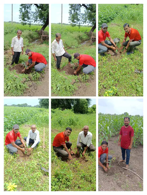 Tree Plantation 2025 – Maharashtra