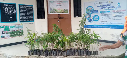 Tree Plantation 2025 – Maharashtra